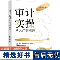 审计实操从入门到精通 杨舒童 著 经管、励志 审计 统计 审计 正版图书籍北京大学出版社