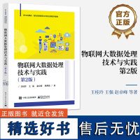 [正版]物联网大数据处理技术与实践 第2版第二版 事务模型及调度处理方法等核心概念与关键技术讲解书籍 王桂玲 电子工