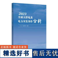 全球大停电及电力突发事件分析(2023年) 何剑,韩家 专业科技 水利电力 建筑/水利(新) 正版图书籍中国电力出版社