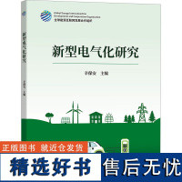 新型电气化研究 辛保安 编 电工技术/家电维修专业科技 正版图书籍 中国电力出版社