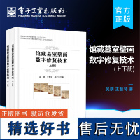 [正版]馆藏墓室壁画数字修复技术 上下册 壁画手工修复数字修复书籍 数字化文物信息是研究文化考证历史的重要素材 电子