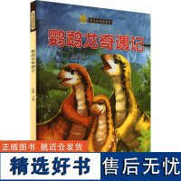 鹦鹉龙奇遇记 金蟾 编 其它儿童读物少儿 正版图书籍 江苏凤凰美术出版社