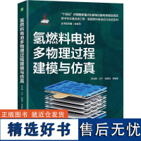 氢燃料电池多物理过程建模与仿真