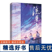 流星.2青春小说