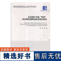 正版东北地区实施四化同步推进战略及联动效应研究/经济管理学术文库9787509660522经济管理郭振