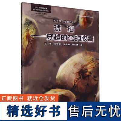 地球的生命故事 **古生物学家的发现之旅 第二辑 璀璨远古 琥珀 穿越时空的胶囊 青少年有关生命演化的科普书籍