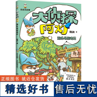 大侦探阿灯 游乐场惊魂记 凯叔 著 儿童文学少儿 正版图书籍 湖南少年儿童出版社