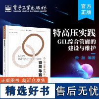 [正版]特高压实践 GIL综合管廊的建设与维护 综合管廊工程建设运维综合管廊建设安全技术GIL综合管廊运行维护安全