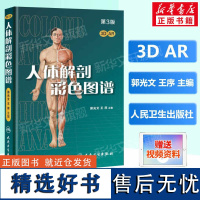 人体解剖彩色学图谱 第三版第3版新版郭光文3D搭奈特医用医学生解剖书外科全彩局部系统实用解剖彩绘本科大学教材二版升级人民