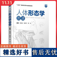 人体形态学图谱 辽宁科学技术出版社9787559136602