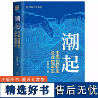 正版 潮起:中国创新型企业的诞生 再现中国政府和企业在工业追赶和自主创新的历程中披荆斩棘 解开中国创新型企业崛起之谜