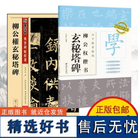 全2册柳公权玄秘塔碑 原帖+教程 楷书毛笔字帖传世经典书法碑帖柳体书法临摹字帖入门柳楷毛笔 柳公权毛笔字集字古诗墨点字帖