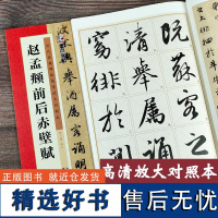 墨点字帖 赵孟頫前后赤壁赋 毛笔书法字帖行书练字帖成年初学者练字历代经典碑帖高清放大对照本赵孟頫前后赤壁赋原碑帖