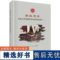 正版全新 精装 精致考古山东大学实验室考古项目论文集一 方辉 科学出版社 9787030789280