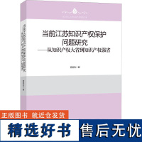 当前江苏知识产权保护问题研究——从知识产权大省到知识产权强省 董新凯 著 法学理论社科 正版图书籍 知识产权出版社