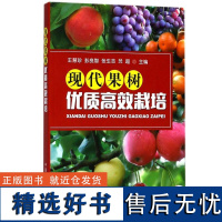 现代果树优质高效栽培 果树修剪种植栽培技术书籍家庭果树栽培入门管理书葡萄苹果梨桃病虫害诊断与防治嫁接技术育苗教程大全