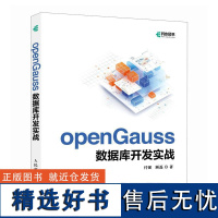 openGauss数据库开发实战 开源数据库系统开发AI人工智能数据库核心技术计算机书 适合数据库管理员程序开发人员系统