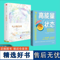 当下的力量(珍藏版)+高能量状态(共2册)埃克哈特·托利 能量开悟之书 心灵经典读物 反内耗积极开挂人生 正版