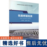 [新华]铁路桥隧检测 正版书籍 店 中国铁道出版社有限公司