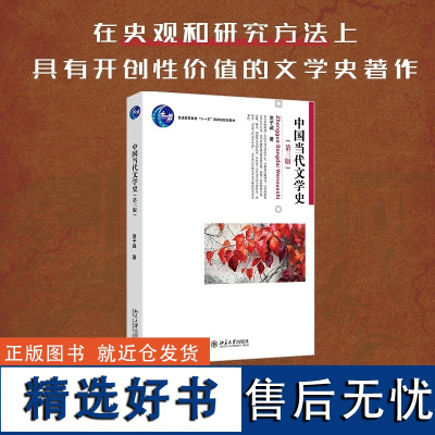 []中国当代文学史(第三版) 博雅大学堂文学系列 洪子诚教授作品 普通高等教育“十一五”规划教材 北大出版社 正版图书