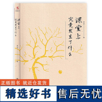 课堂上究竟发生了什么 中小学幼儿教师培训用书班主任管理书籍吴非著 教育理论书教师职业发展 中国人民大学出版社