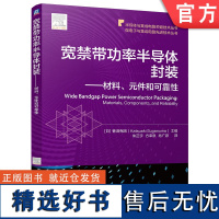 宽禁带功率半导体封装——材料、元件和可靠性 菅沼克昭 宽禁带 宽禁带半导体 宽禁带半导体功率器件 封装工艺 封