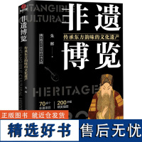 非遗博览 传承东方韵味的文化遗产 朱辉 著 社会科学总论经管、励志 正版图书籍 台海出版社