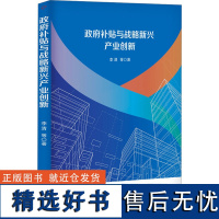 政府补贴与战略新兴产业创新 李清 等 著 经济理论经管、励志 正版图书籍 九州出版社