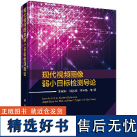 现代视频图像弱小目标检测导论 朱振福9787030589088科学出版社