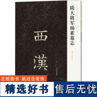 隋大将军杨素墓志 新出隋唐碑志精编 毛笔书法篆刻初学者零基础入门临摹范本西汉软笔墨迹临摹古贴练字帖