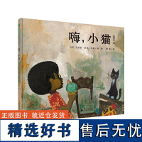 嗨小猫精装绘本图画书3-6岁亲子阅读用充满活力的色彩讲述男孩与小猫的相遇魔法象正版童书