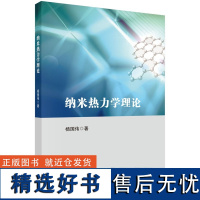 纳米热力学理论 杨国伟9787030791146科学出版社