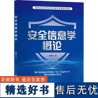 安全信息学概论 罗通元 著 网络通信(新)专业科技 正版图书籍 中国石化出版社