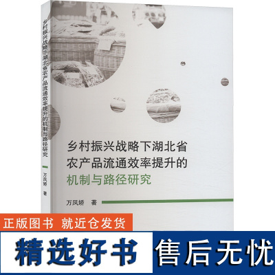 乡村振兴战略下湖北省农产品流通效率提升的机制与路径研究 万凤娇 著 经济理论经管、励志 正版图书籍 经济科学出版社