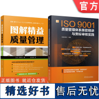 套装 ISO9001质量管理体系条款精讲与贯标审核实践 图解精益质量管理 套装共2册