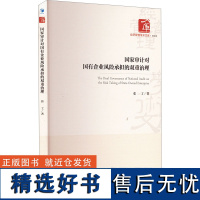 国家审计对国有企业风险承担的双重治理 张丁 著 统计 审计经管、励志 正版图书籍 经济管理出版社