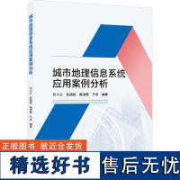 城市地理信息系统应用案例分析 许小兰 等 编 大学教材大中专 正版图书籍 武汉大学出版社