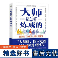 大师是怎样炼成的 夏晋宇 电子工业出版社