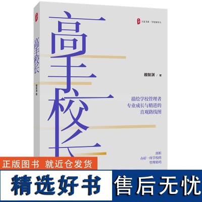 高手校长 大夏书系学校领导力校长先读 中层研读 教师共读 资深教育专家魏智渊新作 高手教师姊妹篇 教师培训书籍