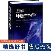 图解肿瘤生物学 化学癌物是人类肿瘤的主要癌因素 病毒癌是人类肿瘤的次要癌因素 细胞原癌基因的激活方式 生长因子信号途径指