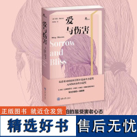 正版新书 爱与伤害 梅格·梅森 重庆大学出版社