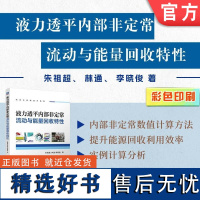 正版 液力透平内部非定常流动与能量回收特性 朱祖超 林通 李晓俊 9787111758921 机械工业出版社