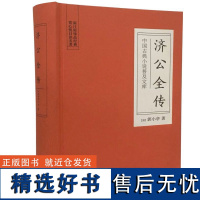 中国古典小说普及文库:济公全传 郭小亭 岳麓书社