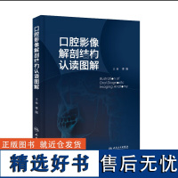 口腔影像解剖结构认读图解 解析牙体 颌骨和邻近组织 上颌窦及颞下颌关节等关键部位的影像特点 影像解剖知识点 影像技术描述