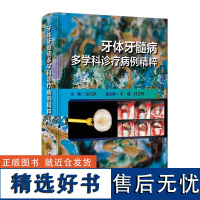 牙体牙髓病多学科诊疗病例精粹 多学科诊疗的概念和发展简史 多学科诊疗的起源与发展 多学科诊疗在疾病诊疗中的应用 发展方向