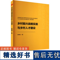 乡村振兴战略实施与乡村人才建设 林炜域 著 育儿其他文教 正版图书籍 中国书籍出版社