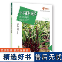 [助力乡村振兴出版计划·现代种植业实用技术系列]十字花科蔬菜优质高效栽培技术