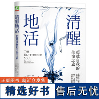 清醒地活 超越自我的生命之旅 迈克 辛格 正念 冥想 臣服实验 活着 觉察 自我 平和 喜悦 幸福 心灵成长