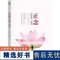 正念 此刻是一枝花 乔 卡巴金 心理学 正念之道 冥想精髓 正知 正能量 平静 人生哲学通俗读物 机械工业出版社