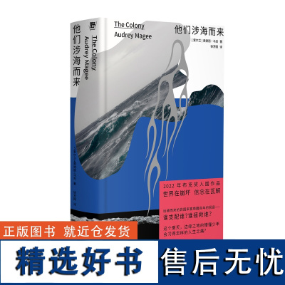 他们涉海而来 北贝 野望(爱尔兰)奥德丽·马吉/著 爱尔兰 夏天 海 岛 布克奖 思念 家乡 少年 广西师范大学出版社